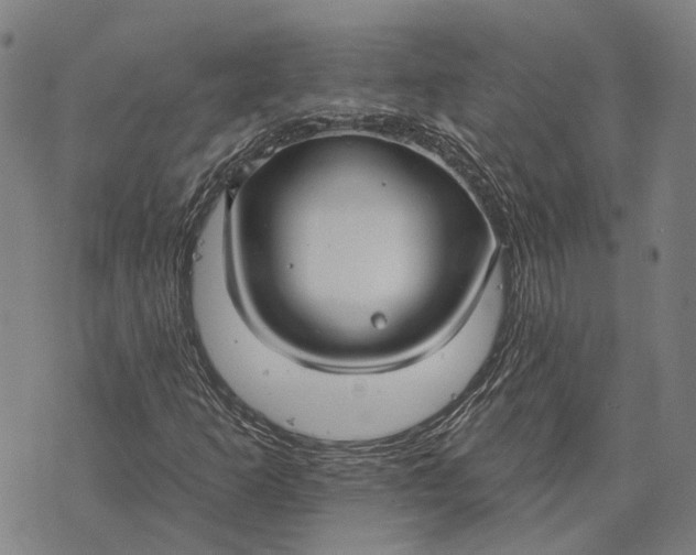 X0000073761253200608241403