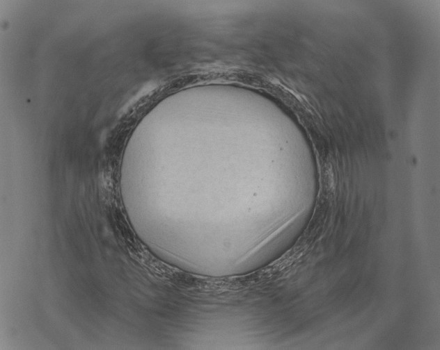 X0000073761254200608241403