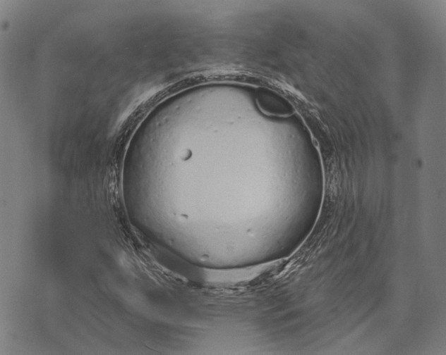 X0000073761255200608241403