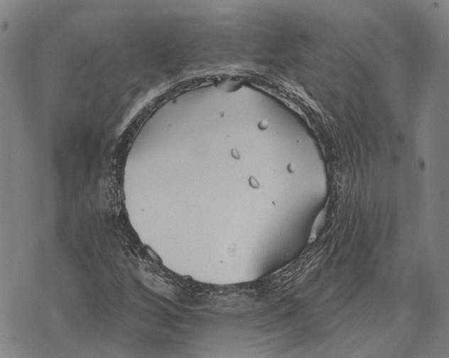 X0000073761256200608241403