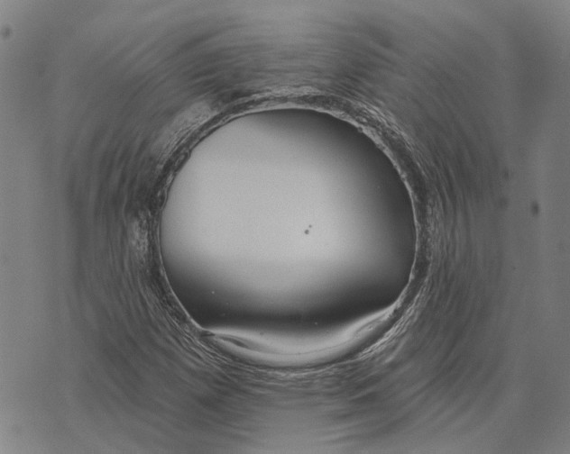 X0000073761257200608241403