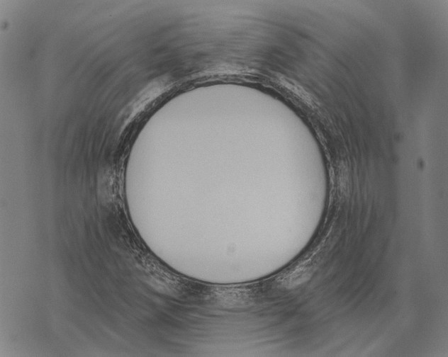 X0000073761258200608241403