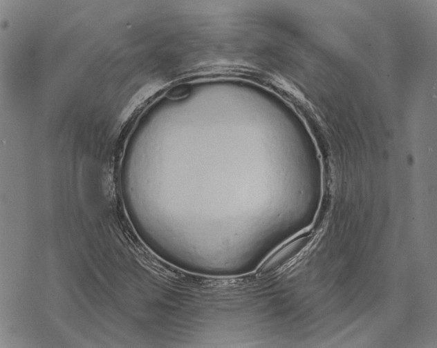 X0000073761259200608241403