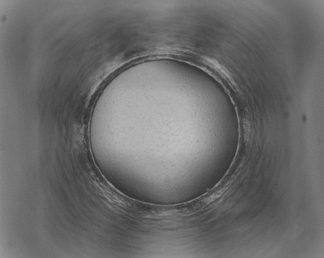 X0000073761260200608241403