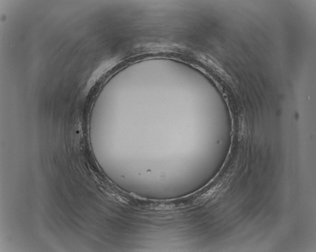 X0000073761261200608241403