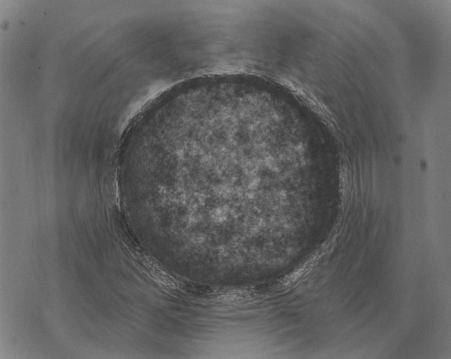 X0000073761262200608241403