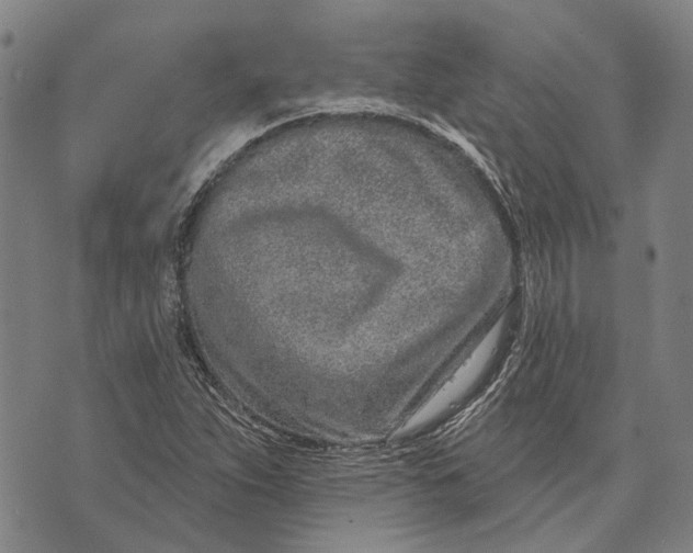 X0000073761263200608241403