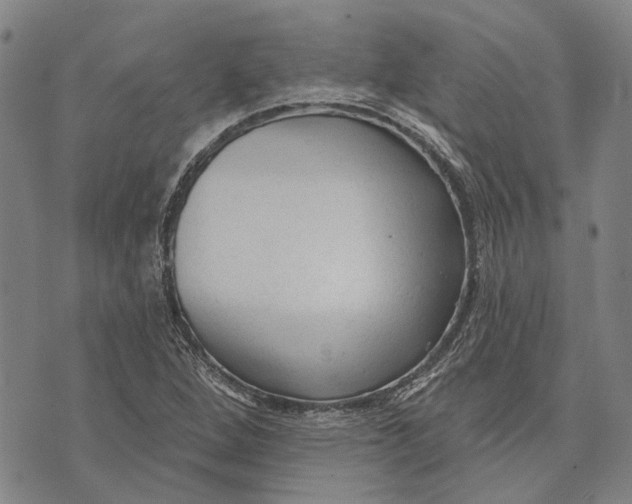 X0000073761264200608241403