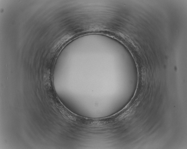 X0000073761265200608241403