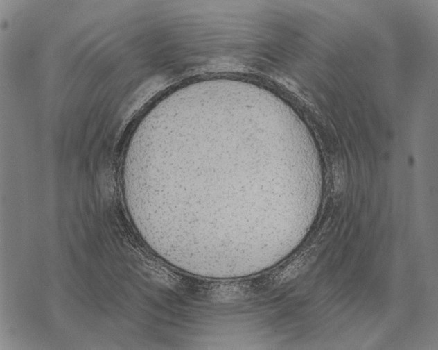 X0000073761266200608241403