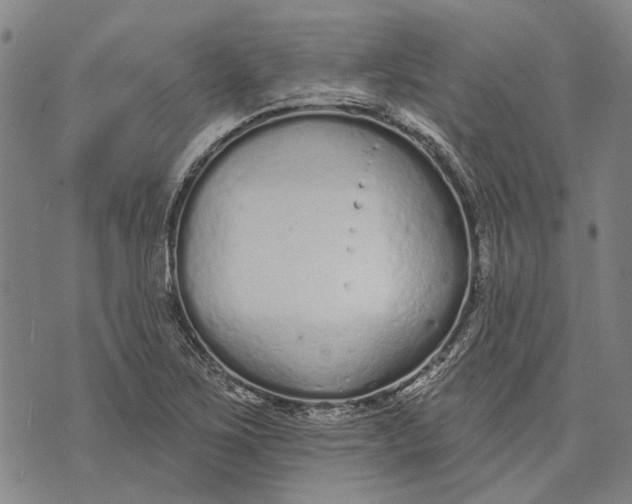 X0000073761267200608241403