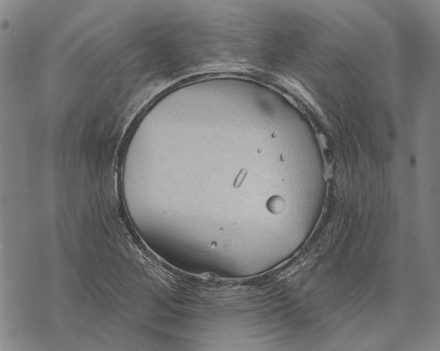 X0000073761268200608241403