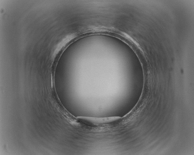 X0000073761269200608241403