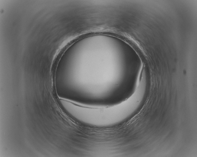 X0000073761270200608241403