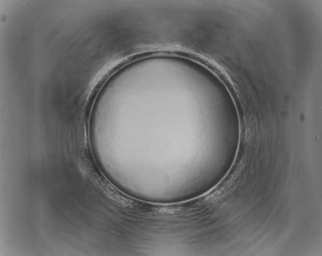 X0000073761271200608241403