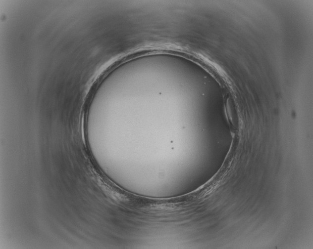 X0000073761272200608241403