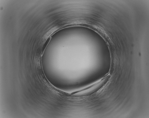 X0000073761273200608241403