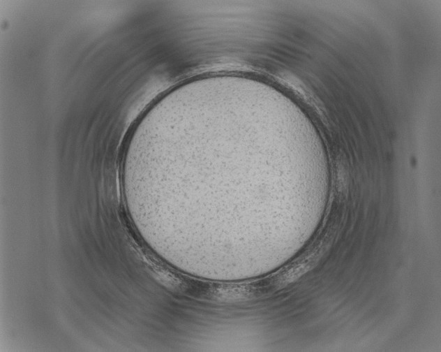 X0000073761274200608241403