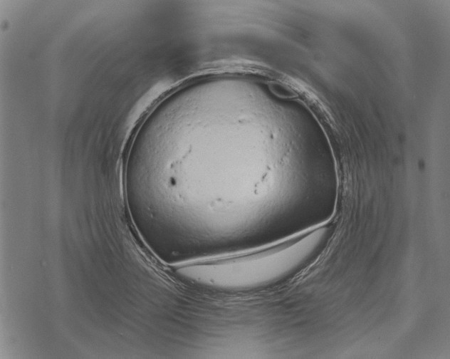 X0000073761275200608241403