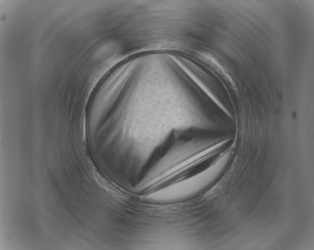 X0000073761276200608241403