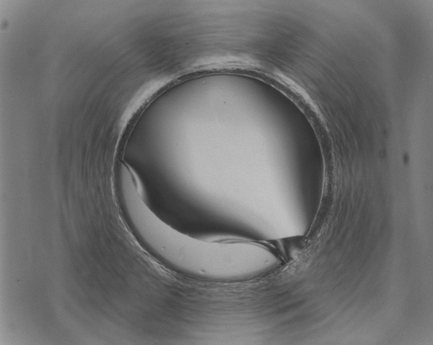 X0000073761277200608241403