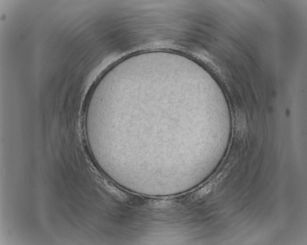 X0000073761278200608241403