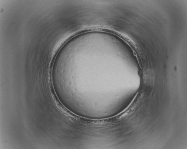 X0000073761279200608241403