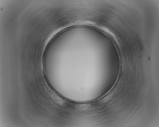 X0000073761280200608241403