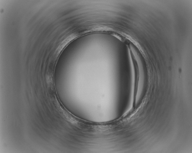 X0000073761281200608241403