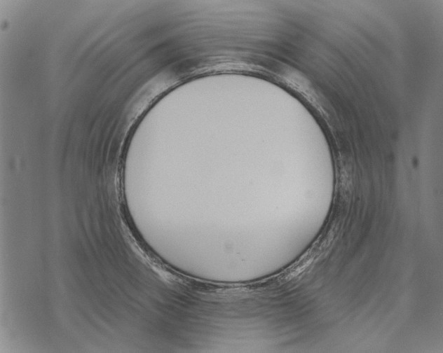 X0000073761282200608241403