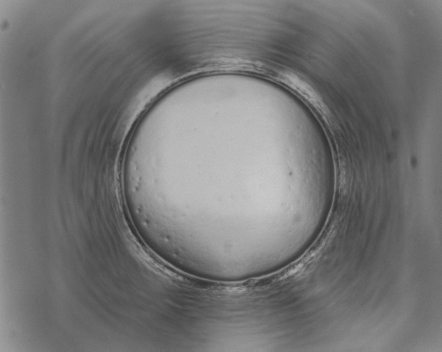 X0000073761283200608241403