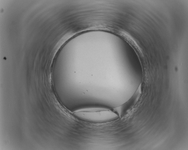 X0000073761284200608241403