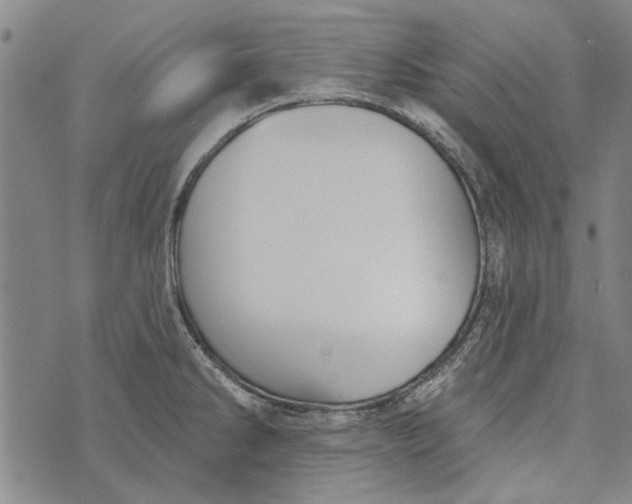 X0000073761286200608241403