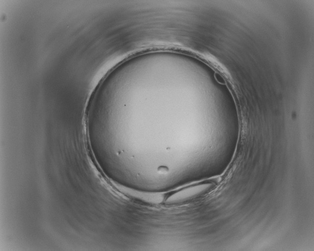 X0000073761287200608241403