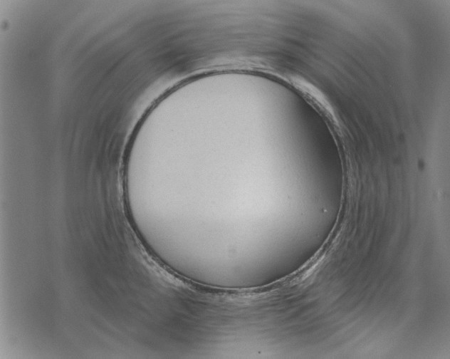 X0000073761288200608241403