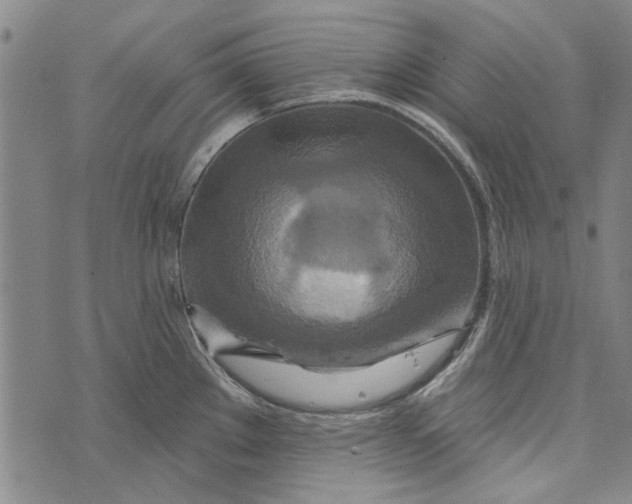 X0000073761289200608241402