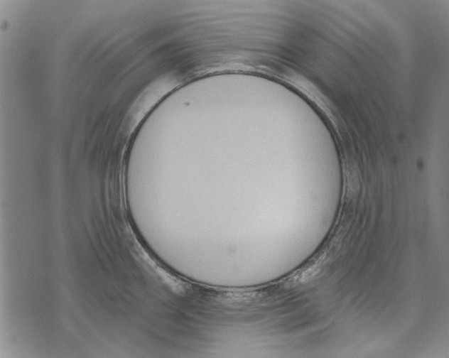 X0000073761290200608241402