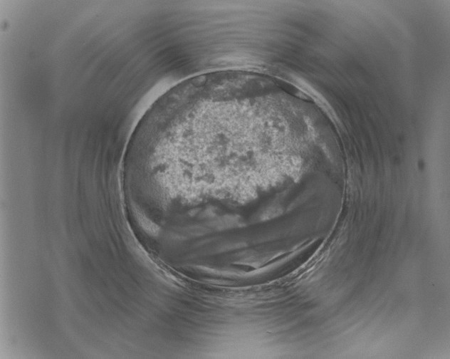 X0000073761291200608241402