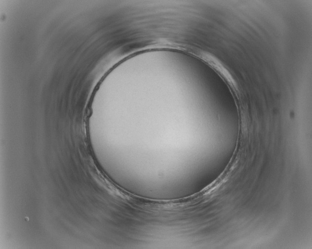 X0000073761292200608241402