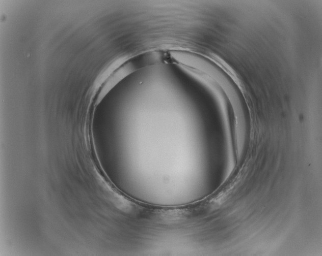 X0000073761293200608241402