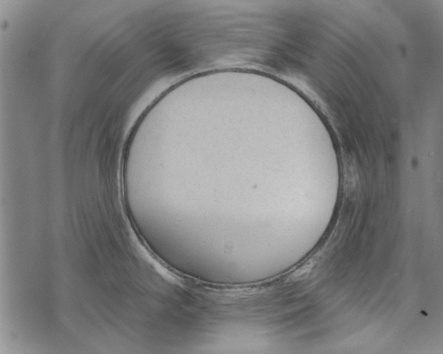 X0000073761294200608241402