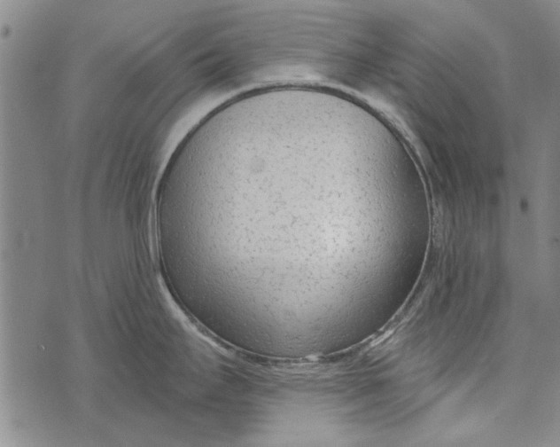 X0000073761295200608241402