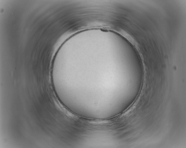 X0000073761296200608241402