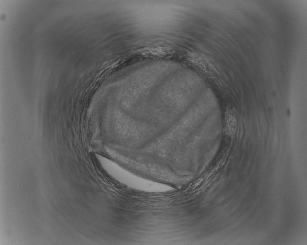 X0000073761297200608241402