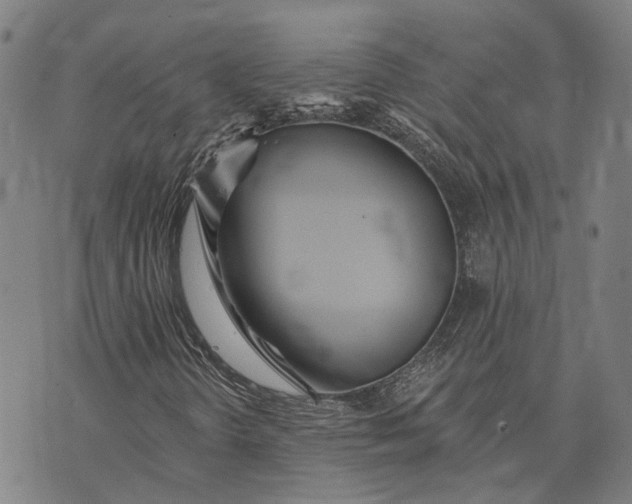 X0000073761298200608241402