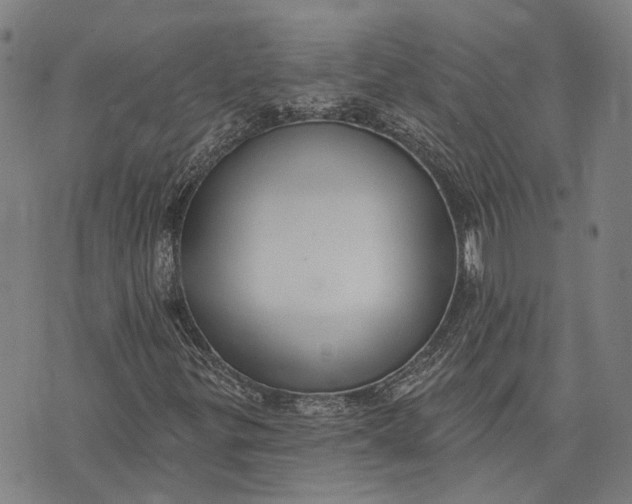 X0000073761299200608241402