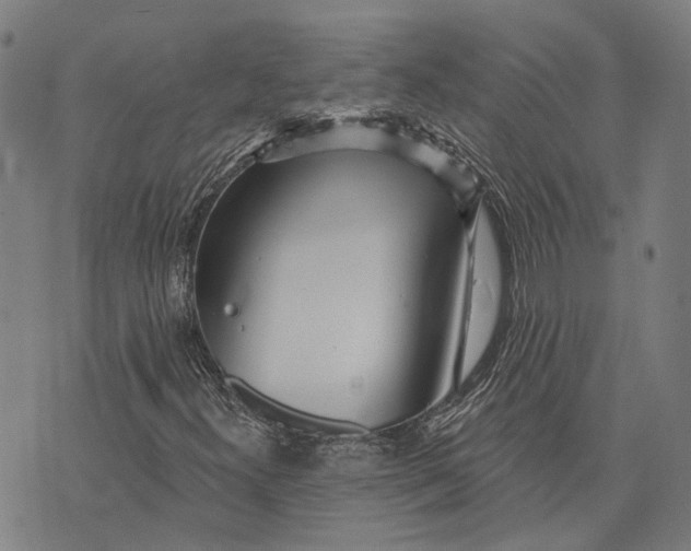 X0000073761300200608241402