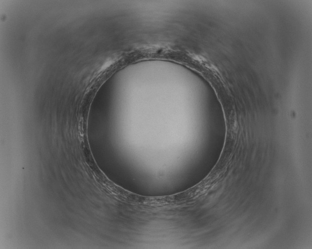 X0000073761301200608241402