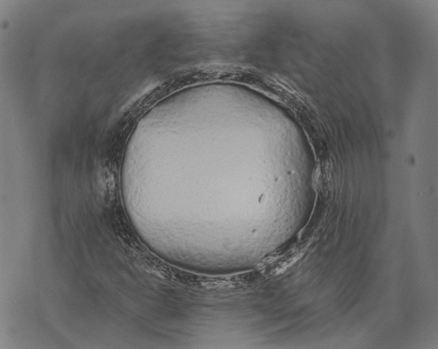 X0000073761302200608241402