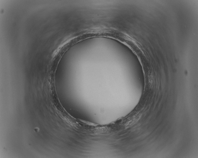 X0000073761304200608241402